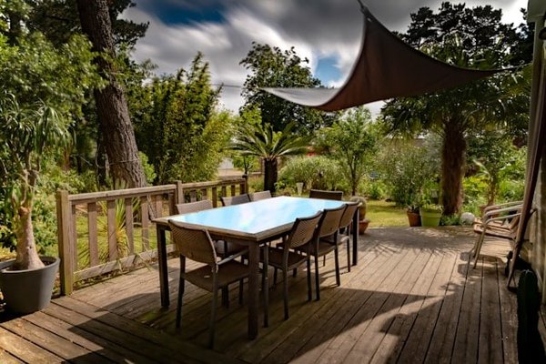 Quel type de bois utiliser pour une terrasse résistante aux intempéries?