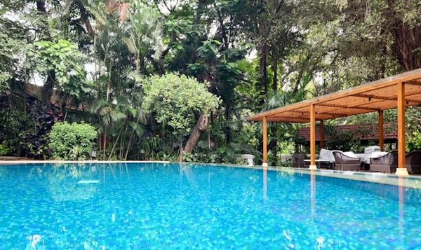 Comment installer un mur végétal autour de votre piscine pour améliorer l'isolement acoustique ?