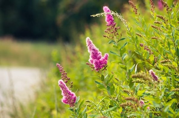 Quels matériaux privilégier pour une pergola bioclimatique dans une région ventée ?